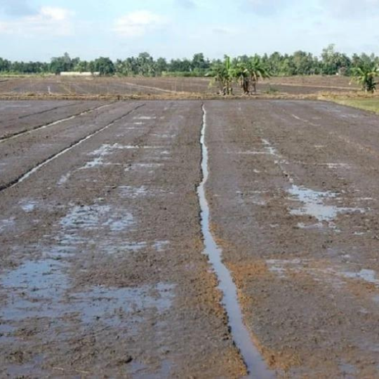 VẬT TƯ NÔNG NGHIỆP BÍCH PHƯỢNG