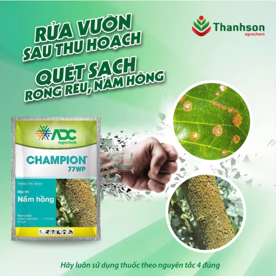 VẬT TƯ NÔNG NGHIỆP BÍCH PHƯỢNG