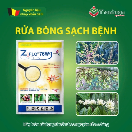 VẬT TƯ NÔNG NGHIỆP BÍCH PHƯỢNG