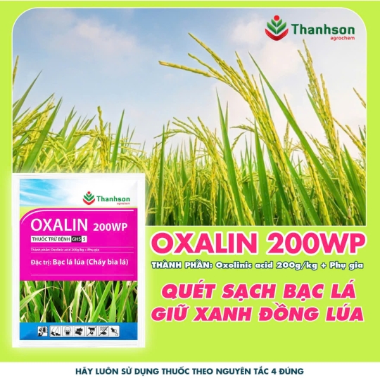 VẬT TƯ NÔNG NGHIỆP BÍCH PHƯỢNG